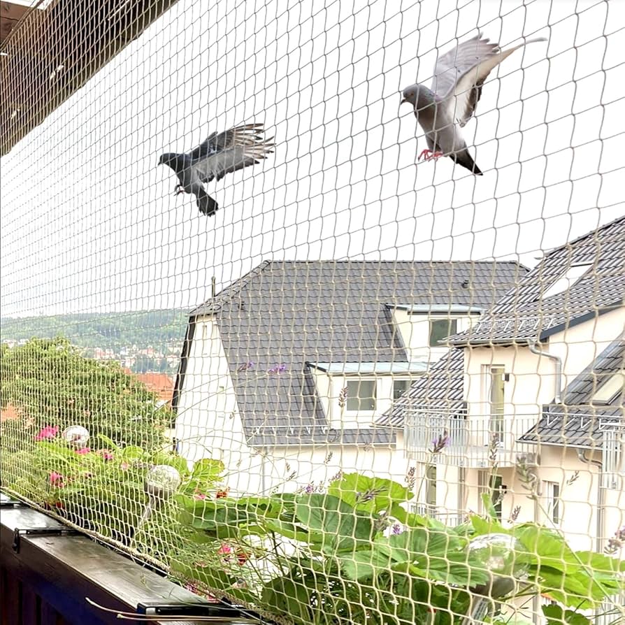 Bird Net Installation
